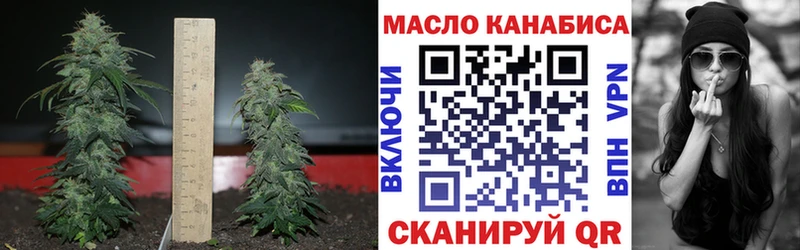 ТГК концентрат Зея