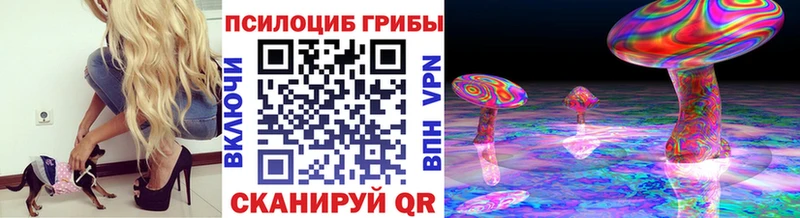 купить Зея Галлюциногенные грибы ЛСД